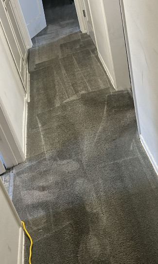 contact about carpet cleaning ca area rug cleaning ca carpet cleaning in santa monica area rug cleaning in santa monica contact about carpet cleaning ca area rug cleaning ca carpet cleaning in santa monica area rug cleaning in santa monica