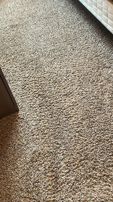 contact about carpet cleaning ca area rug cleaning ca carpet cleaning in santa monica area rug cleaning in santa monica contact about carpet cleaning ca area rug cleaning ca carpet cleaning in santa monica area rug cleaning in santa monica